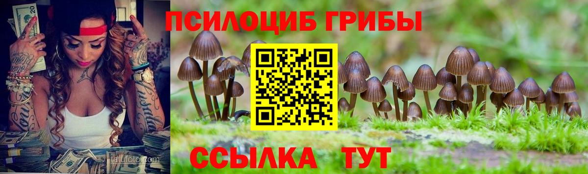 Галлюциногенные грибы MAGIC MUSHROOMS Кушва